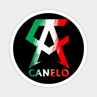 the winner of canelo alvarez Magnet